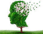 Programa destaca o mês da conscientização da Doença de Alzheimer