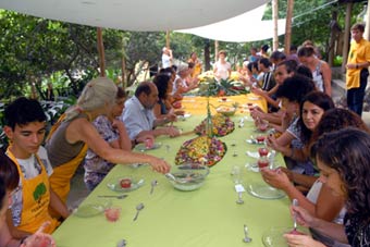 Terrapia retoma atividades em 2013 com seminários vivos e feirinha orgânica
