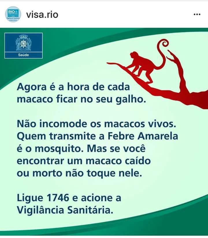 Vigilância Sanitário do Rio de Janeiro alerta sobre transmissão da febre amarela