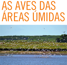 Artigo defende proteção das aves de áreas úmidas