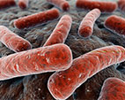 Pesquisa investiga fator genético de proteção à tuberculose
