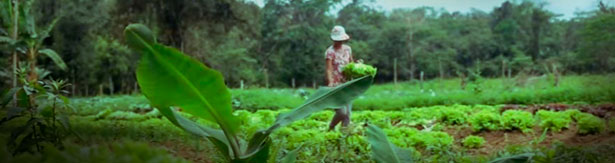 VideoSaúde lança documentário sobre agroecologia