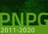 Comissão de Acompanhamento da Pós-Graduação apresenta relatório à Capes