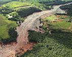 Estudo revela perda de habitat de minhocas expostas a rejeitos da barragem de Brumadinho