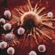 Epidemiologia do Câncer: inscrições abertas até 26 de julho