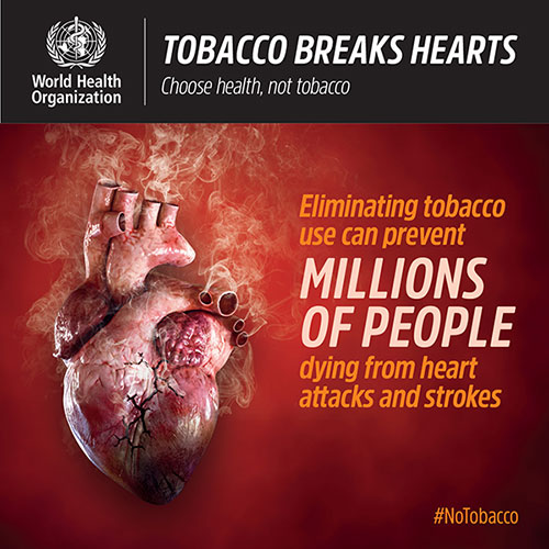 Brasil implementará protocolo de eliminação do comércio ilícito de cigarros