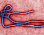 Documento sobre ebola para profissionais de saúde está disponível em português