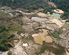 Sites reproduzem estudo que observou elevados níveis de contaminação por mercúrio nos Yanomami