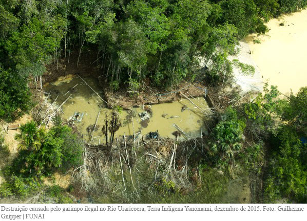 Elevados níveis de contaminação por mercúrio preocupam comunidade indígena Yanomami