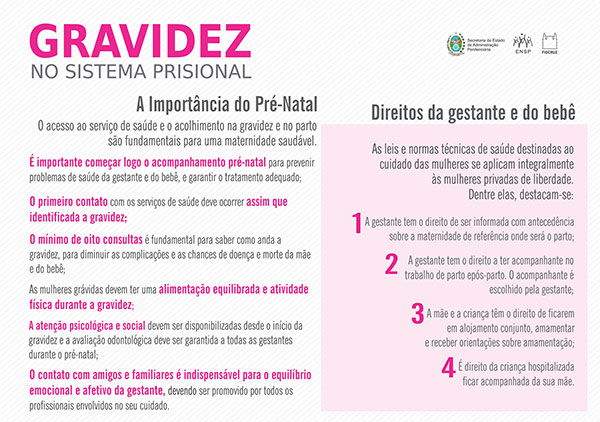 ENSP/Fiocruz propõe intervenções para aprimorar saúde de gestantes e mães  no sistema prisional