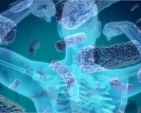 Tuberculose: pesquisadores da ENSP falam sobre novos diagnósticos e tratamentos