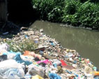 Pesquisadora fala sobre os danos à saúde provocados pela coleta irregular de lixo