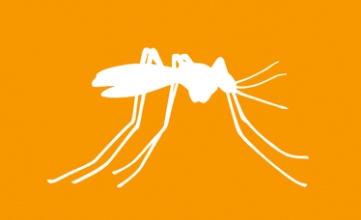 Conheça as medidas em andamento para garantir uma vacina segura e eficaz contra o vírus zika