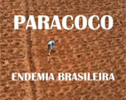 Imprensa destaca vídeo 'Paracoco: uma endemia brasileira'