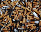 Cetab/ENSP promove ação ambiental e coleta aproximadamente 2 mil pontas de cigarro no campus