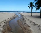 Encontro na ENSP debate poluição das praias cariocas