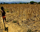 Desertificação, degradação de terras e seca impactam sobre a saúde e o desenvolvimento, alerta a ONU