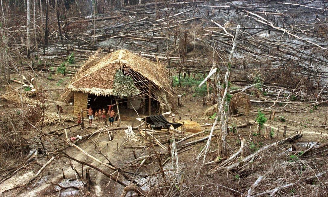 Exploração ilegal de garimpo provoca contaminação em indígenas Ianomâmi
