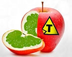 ENSP defende obrigatoriedade da rotulagem de alimentos transgênicos